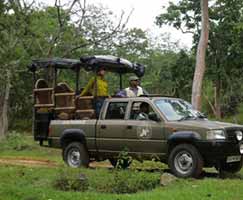 Tour Package Bandipur