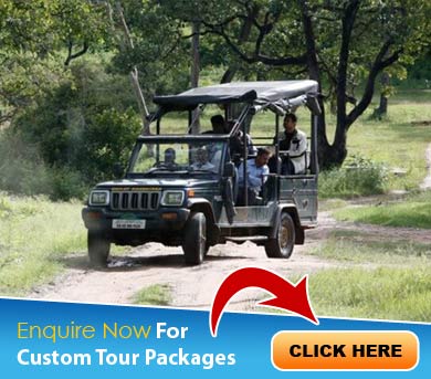 Bandipur Tour Packages